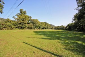 Paddock- click for photo gallery